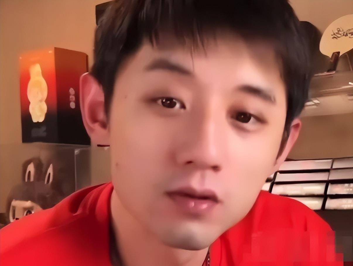 奥地利队绝杀中国队,张继科扛起全队的简单介绍 奥地利队绝杀中国队,张继科扛起全队的简单介绍