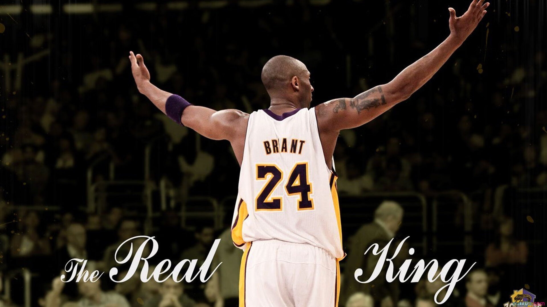 一球定江山,加克波在抢七之夜的压制级演出